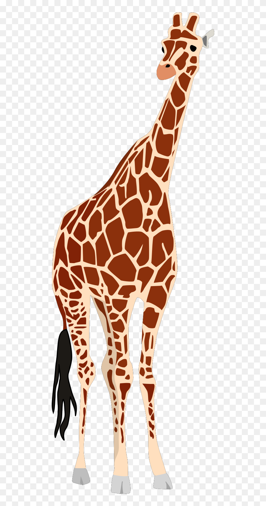 Giraffe Clipart Vector - Png Download