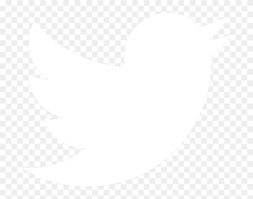 Logo Twitter Png Blanc - White Twitter Logo Transparent Clipart