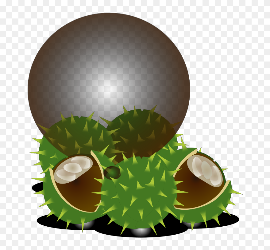 Egg Clipart