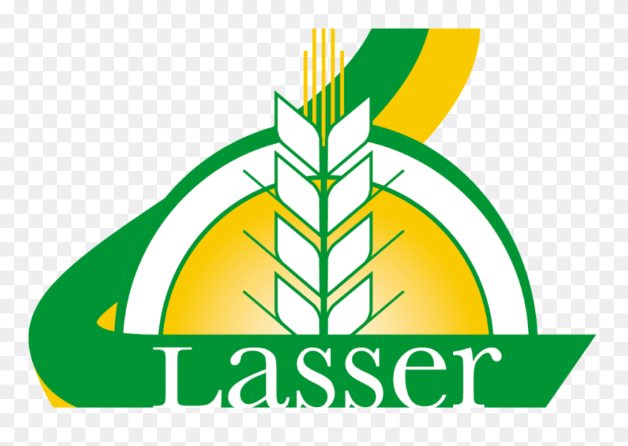 Graphic Design Clipart