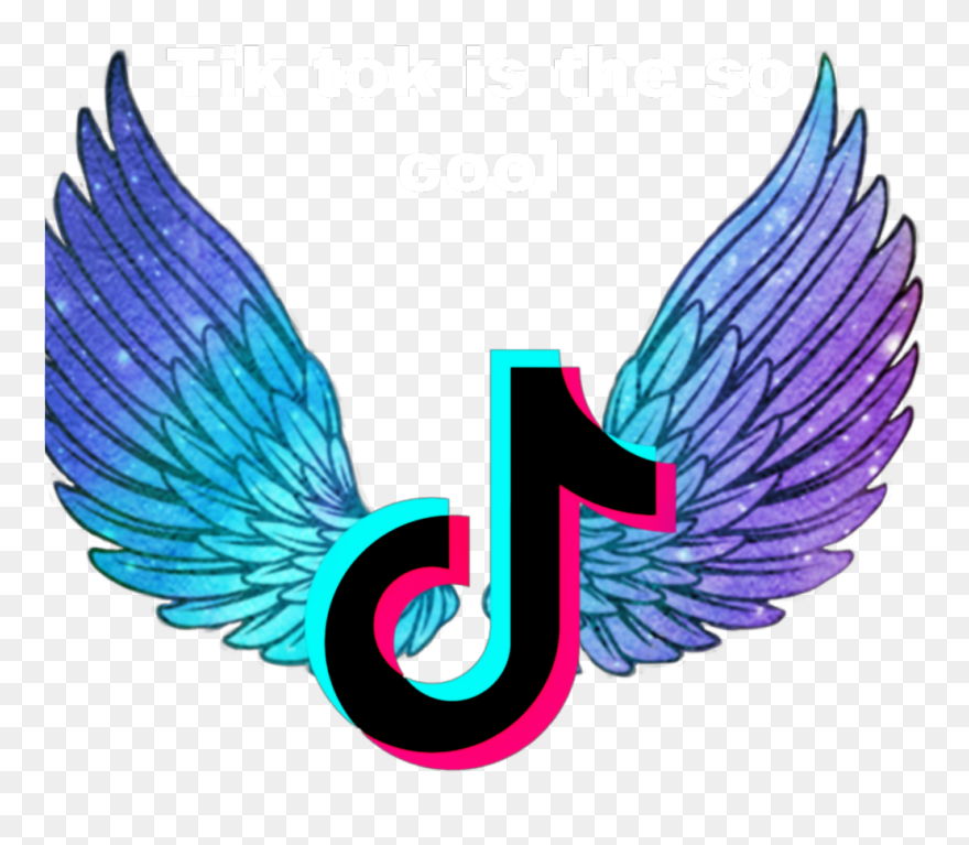 Transparent Follow Clip Art - Picsart Birds Wings Png