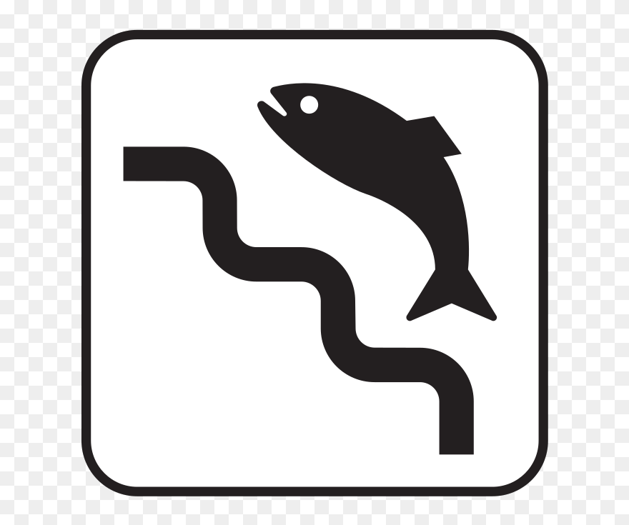 Fish Ladder Clipart - Png Download