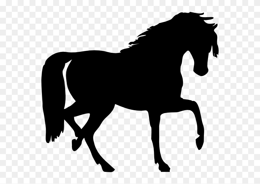 Arabian Horse Silhouette Clip Art - Horse Silhouette Clip Art - Png Download