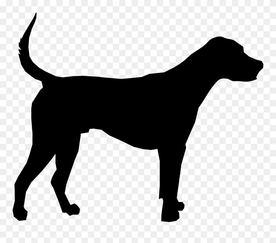 Great Dane Puppy Dog Breed Clip Art - Real Doctors Treat More Than One Species - Png Download
