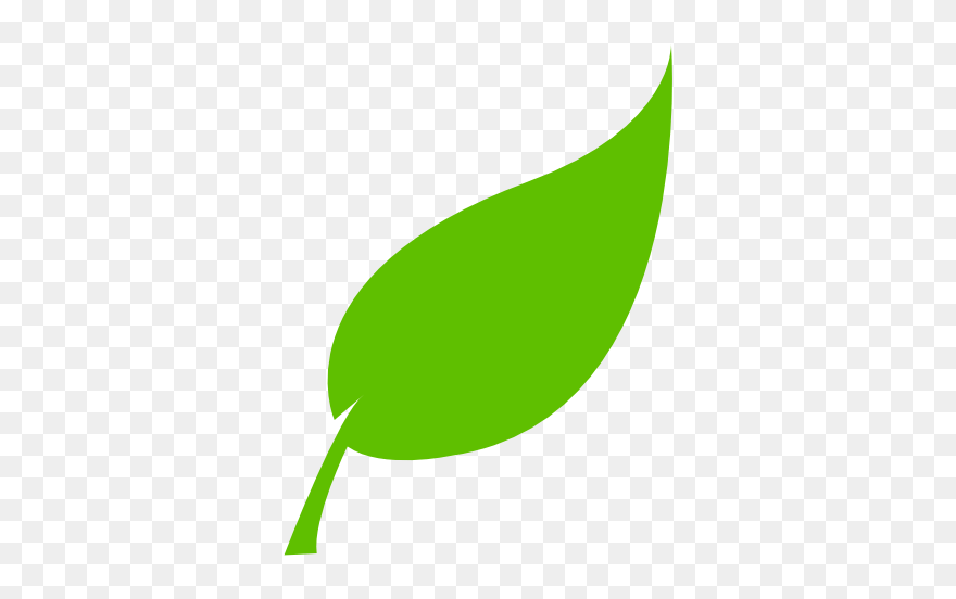 O Que É E Para Que Serve - Tree Leaf Vector Png Clipart