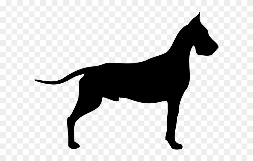 Great Dane Dogue De Bordeaux Old Danish Pointer Poodle - Cc0 Dog Clipart