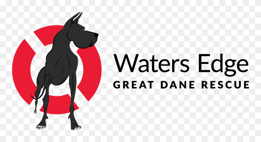 Transparent Great Dane Clip Art - Great Dane - Png Download