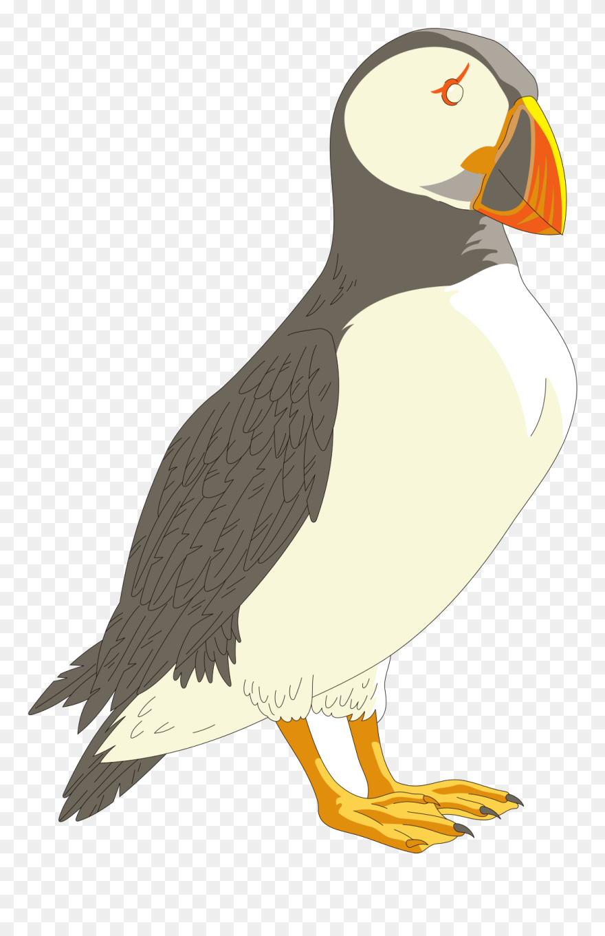 Livret Sur L Ecosse Clipart