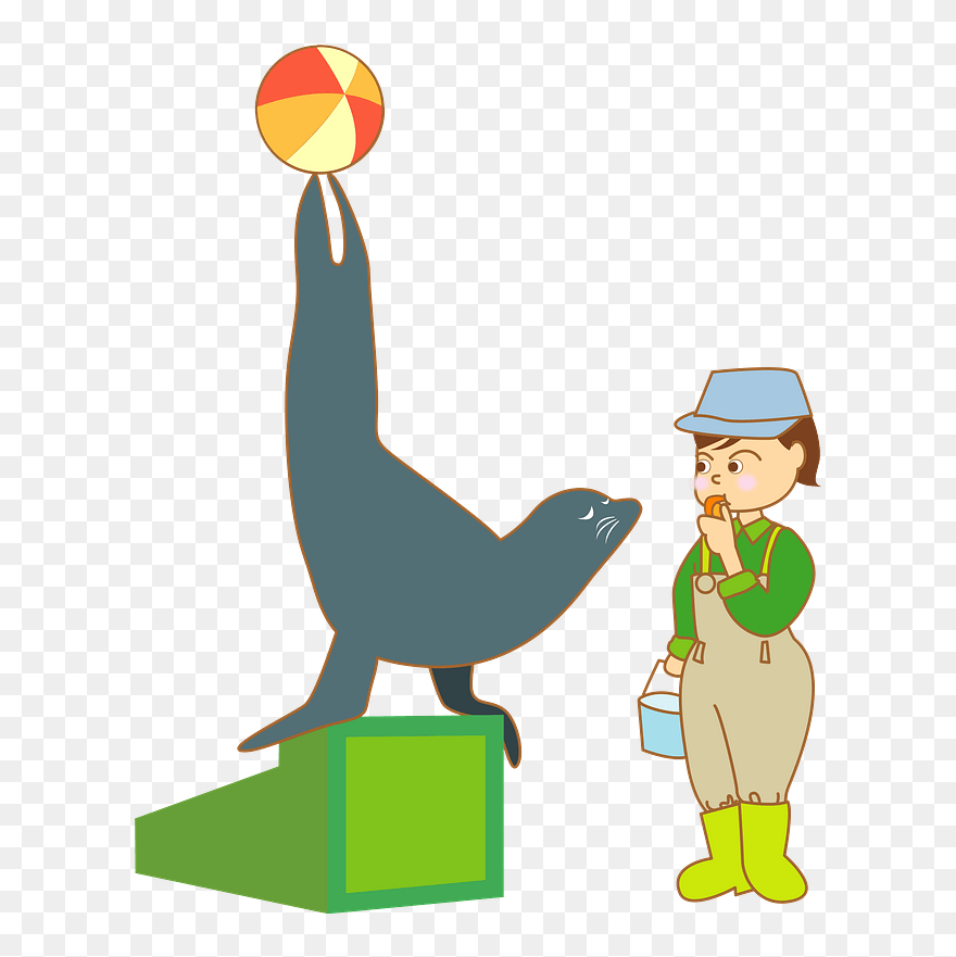 Sea Lion Show Clipart - Cartoon - Png Download