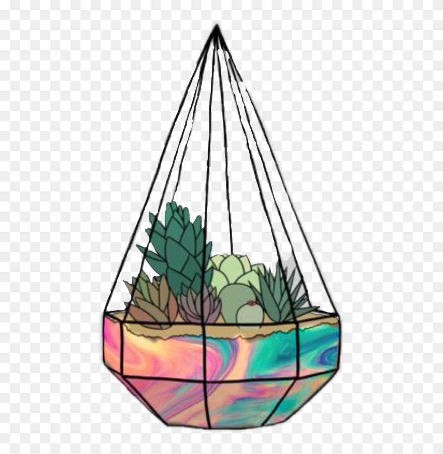 Cactus Plant Stickers Clipart