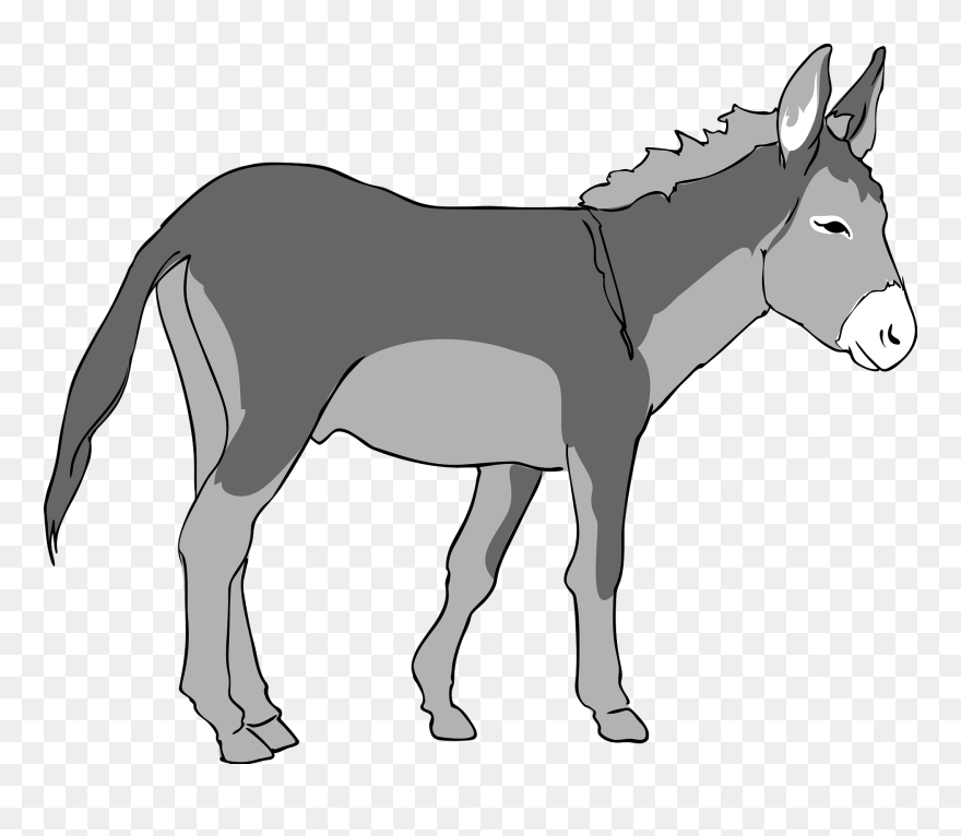 Transparent Background Donkey Clipart - Png Download