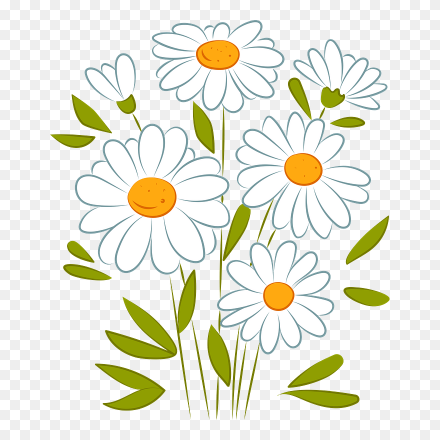 Daisy Clipart - Chamomile - Png Download