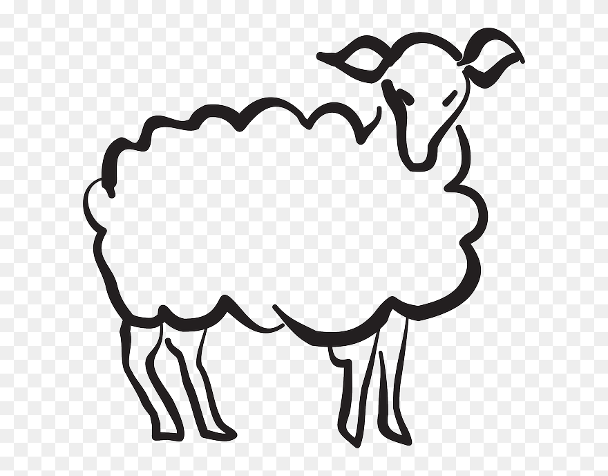 Drawing Sheep Abstract - Cordero Dibujo Clipart