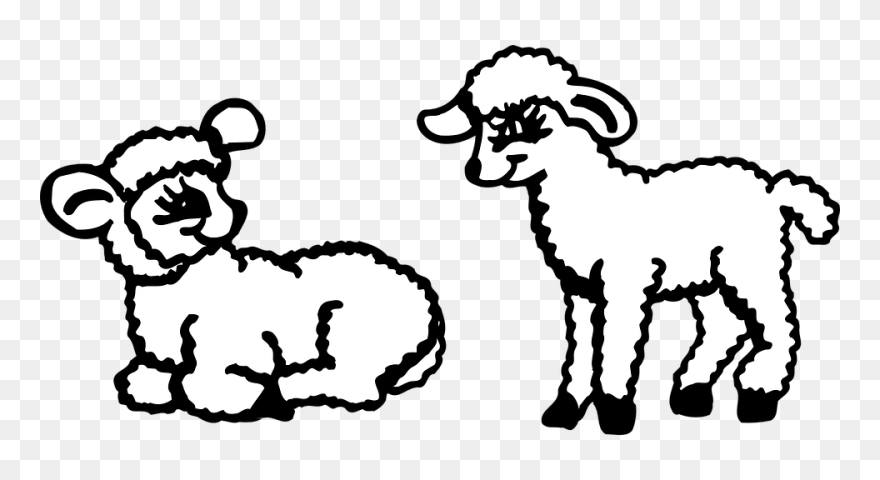 Transparent Lamb Clipart - Lambs Clip Art - Png Download