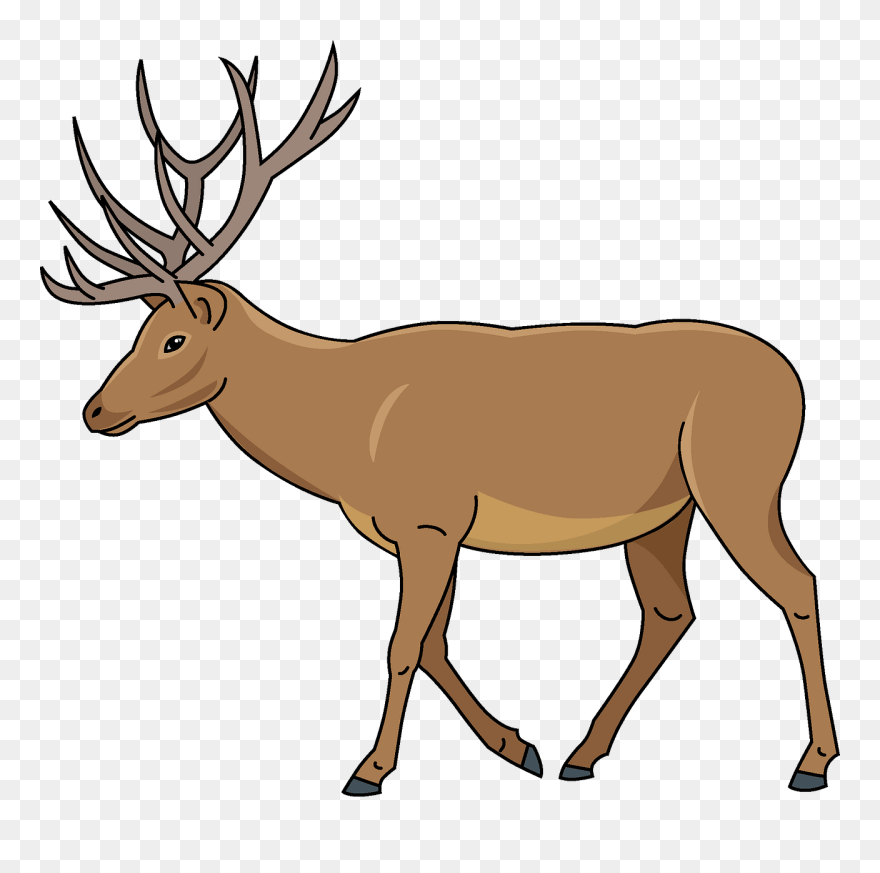 Mule Deer Clipart - Deer Clipart - Png Download