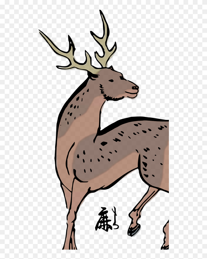 Hewan Kijang Animasi Clipart