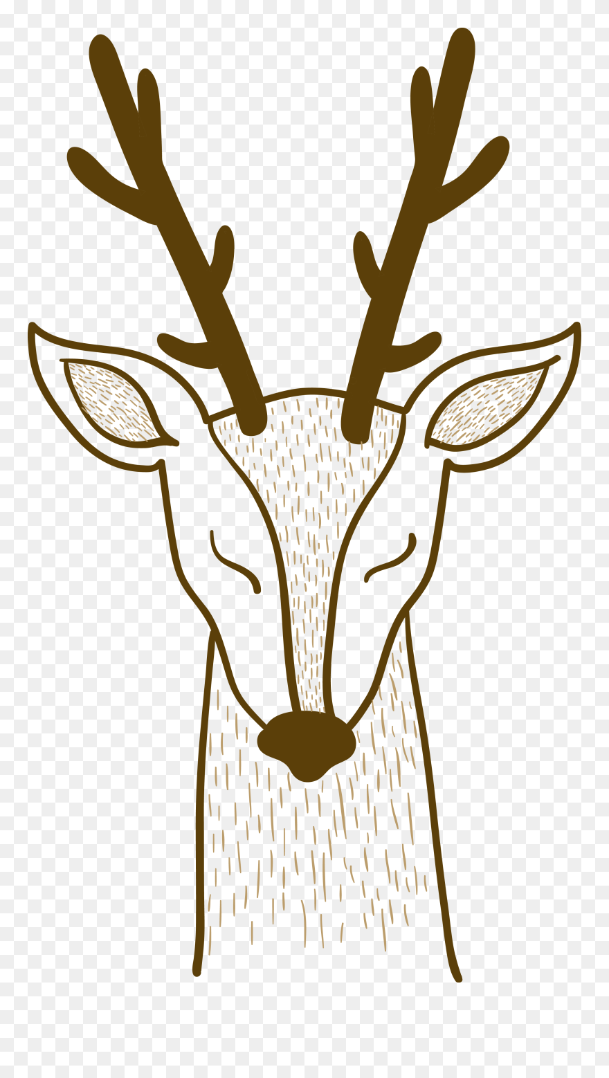 Pxe8re Davids Deer Sika Deer - วาด รูป หน้า กวาง Clipart