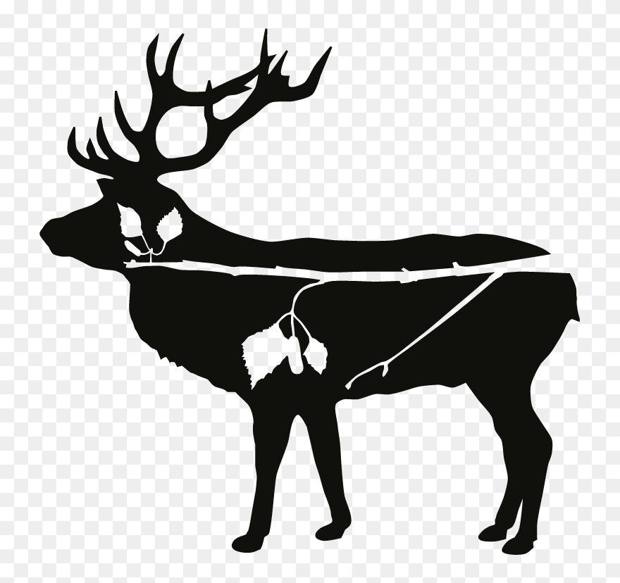 Deer Antlers Clipart - Png Download