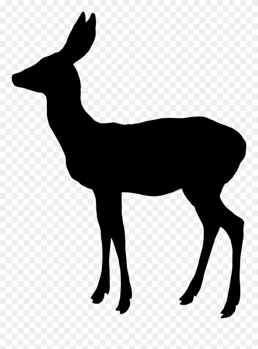 White-tailed Deer Reindeer Elk Moose - Silueta Venado Cola Blanca Clipart