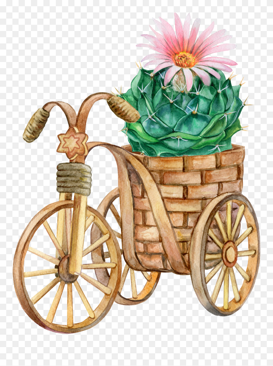 Desenhos Coloridos Para Pano De Prato Png Clipart