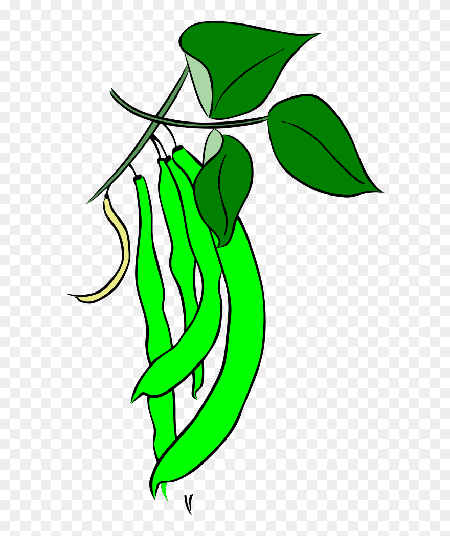 Lesson Plan Of Food Of Plant Clipart