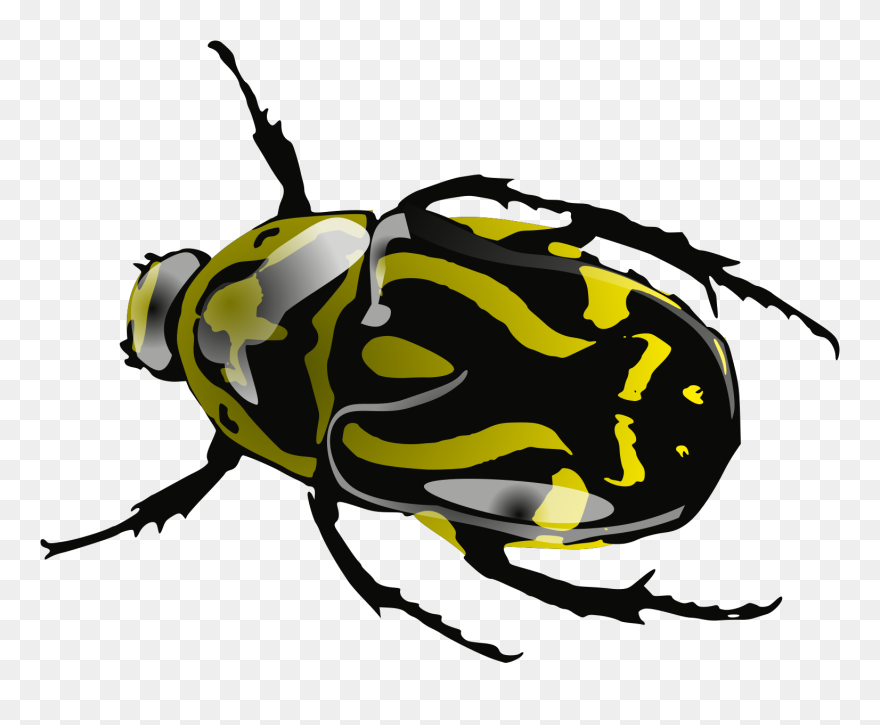Bug Black And White Clipart