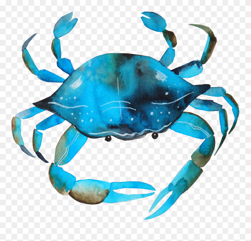 Blue Crab Clip Art - Png Download