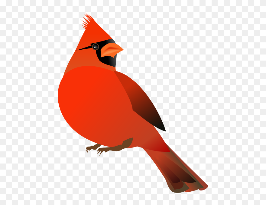 Red Cardinal Svg Clip Arts - Cardinal Clip Art - Png Download