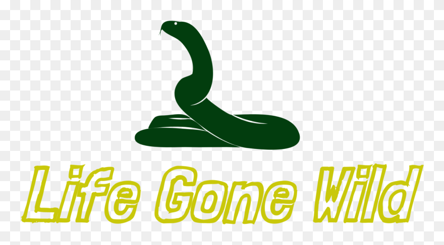 Tales Of Camouflage And - Calligraphy Clipart