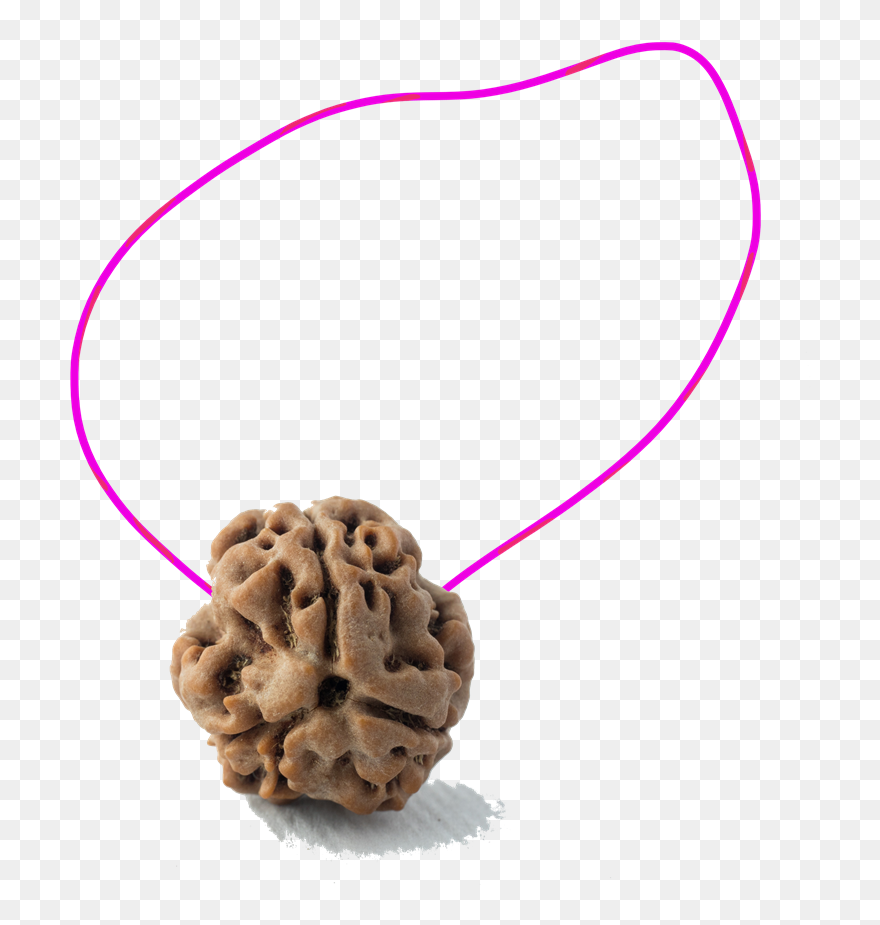 Chocolate Chip Cookie Clipart