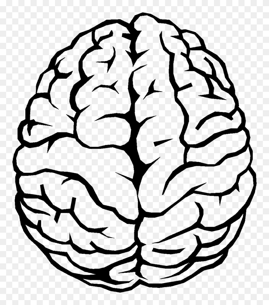 Brain Outline Png Image - Brain Transparent Clipart