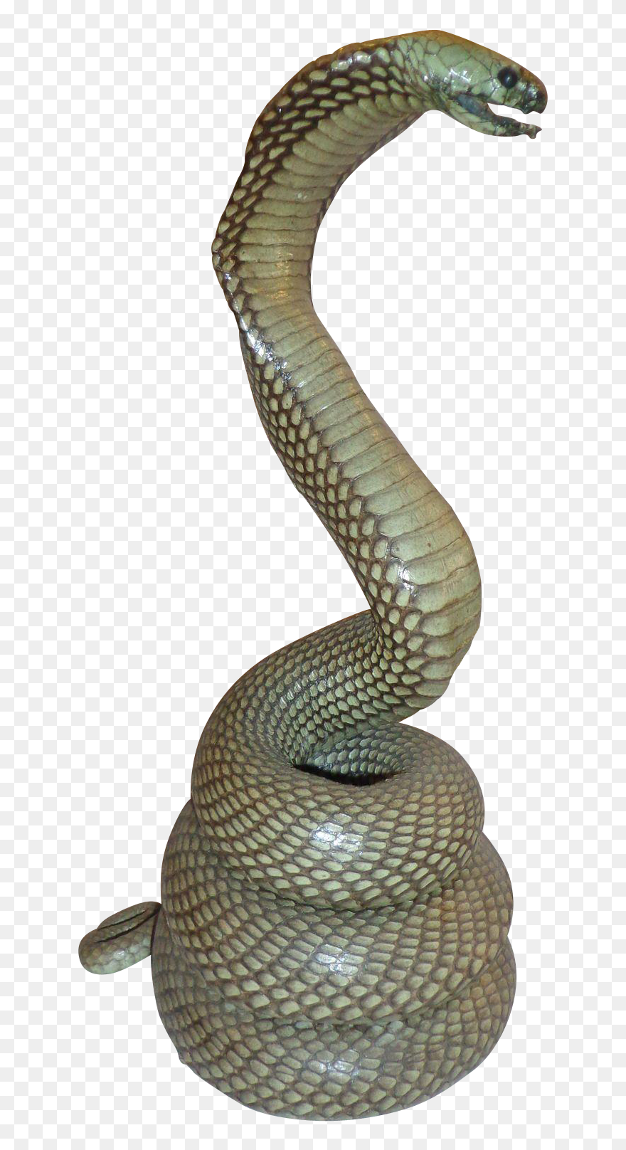 Rattlesnake Reptile King Cobra - Snake Statue Png Clipart