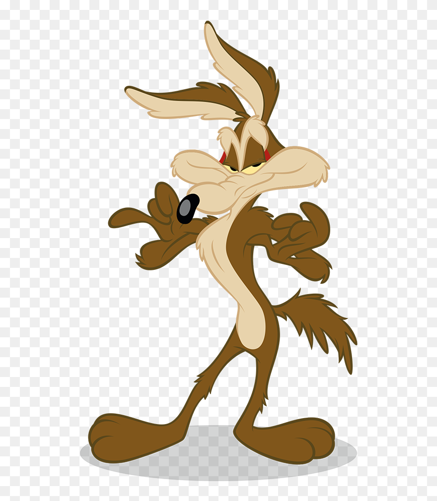 Coyote And The Road Runner Looney Tunes Cartoon - Coyote Road Runner