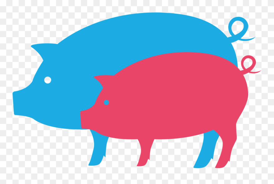 Pig Png Download Clipart
