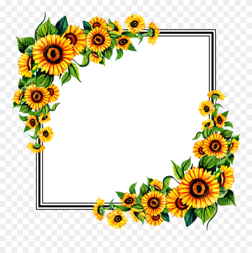 Transparent Background Sunflower Frame Clipart