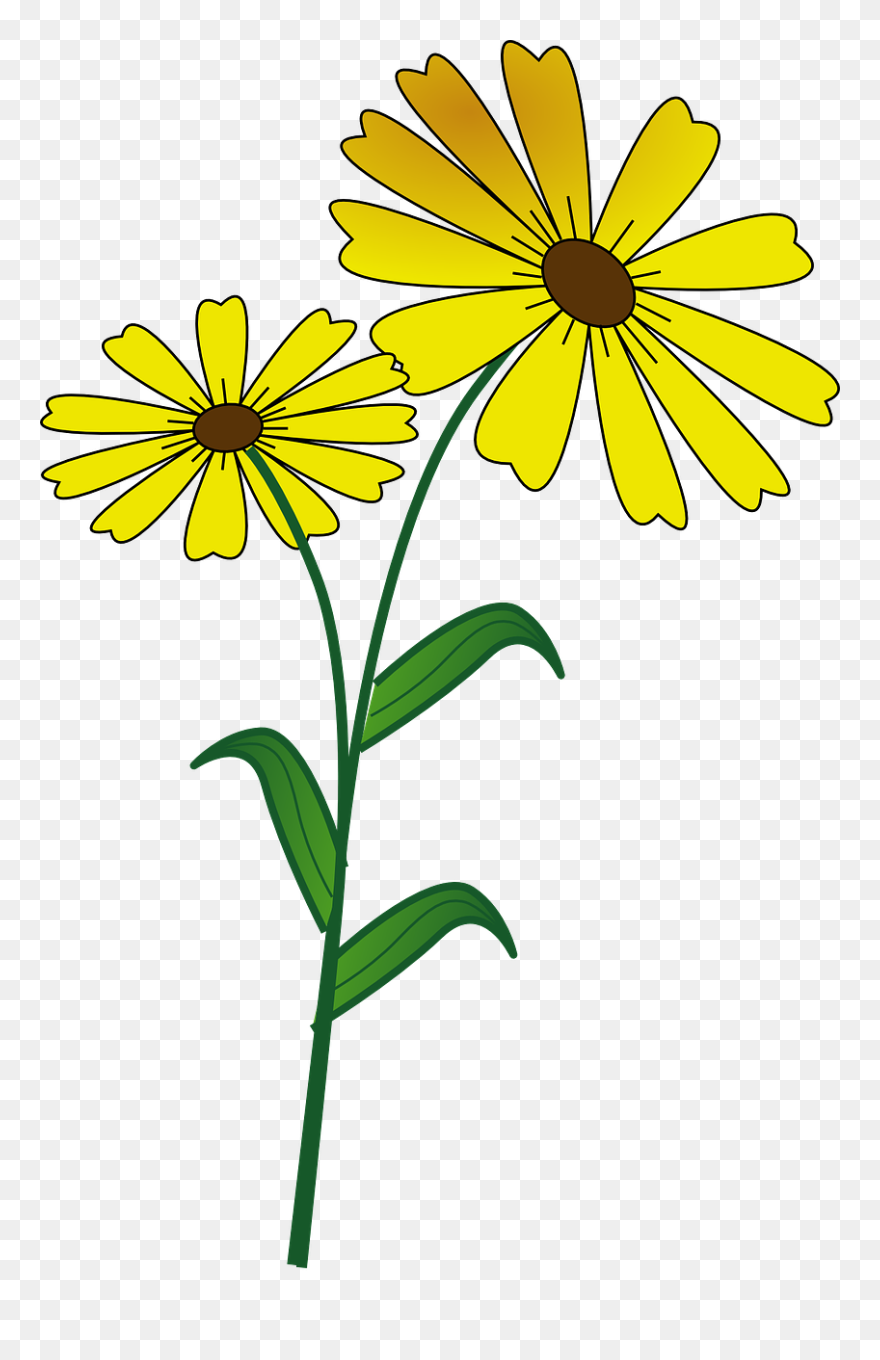 The Best - Yellow Daisie Drawing Clipart