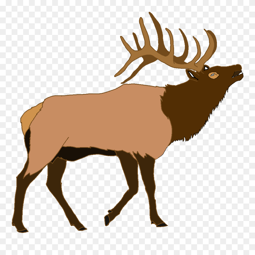 Elk Deer Illustration Vector Graphics Moose - Elk Clipart - Png Download