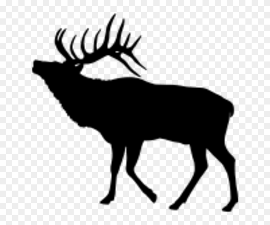 Transparent Elks Clipart - Elk Silhouette Png