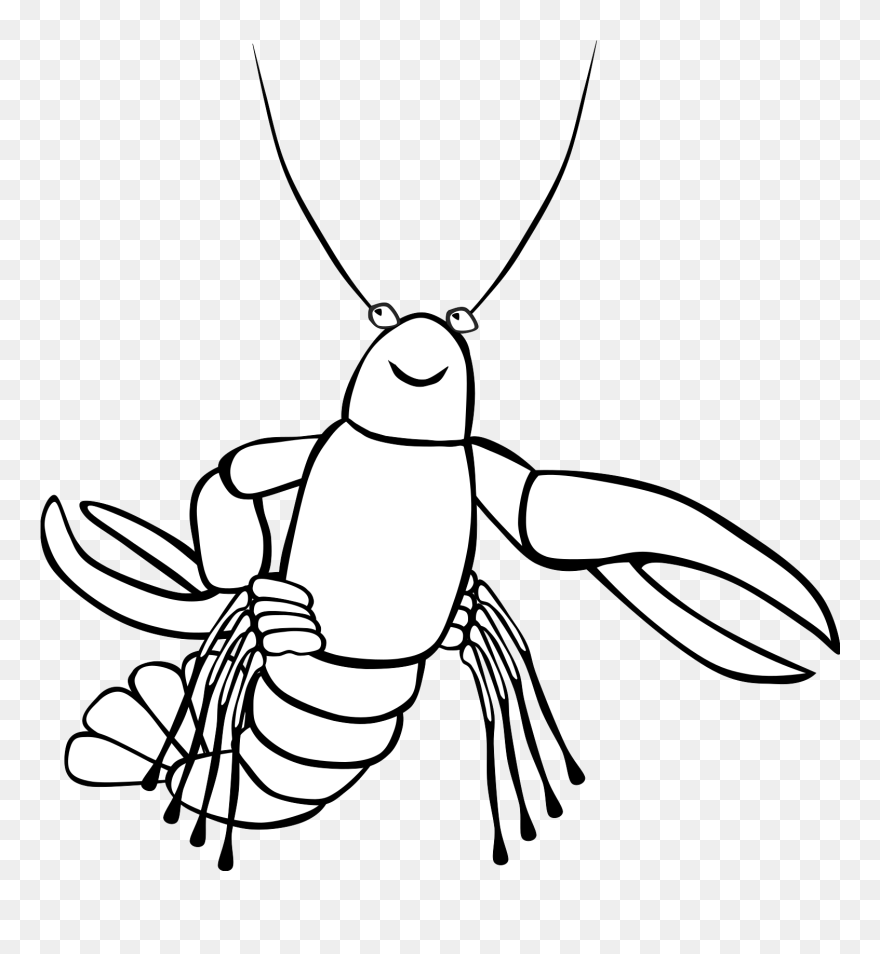 Crawfish Clip Art - Png Download