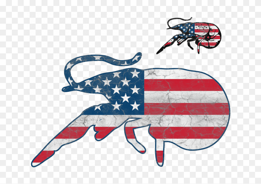 Illustration Clipart