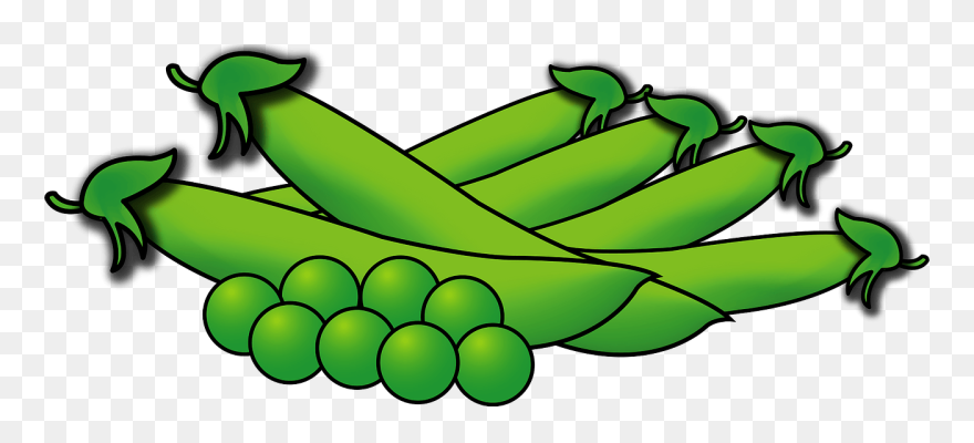 Clip Art - Png Download