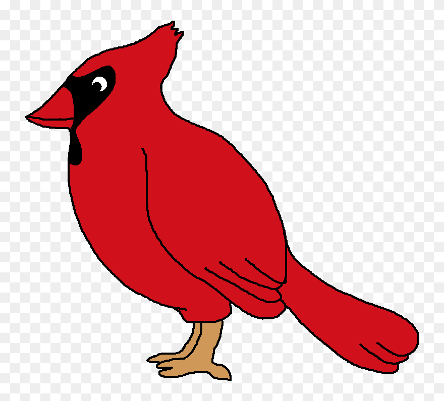Transparent Bird Clipart Images - Animated Pictures Of Cardinals - Png Download