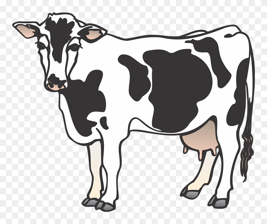 Cattle Clip Art - Cow Clipart Png Transparent Png