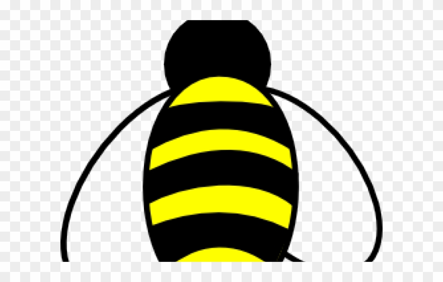 Bumblebee Clipart Bee Knee - Honey Bee Drawing - Png Download