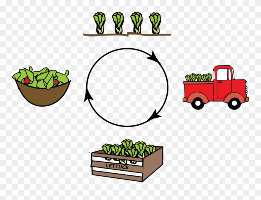 An Edible Education The Berkeley Science Review - Education Clipart