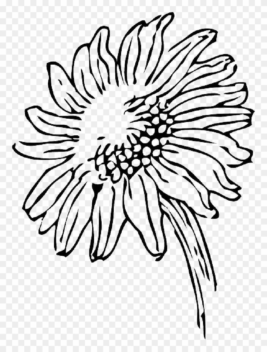 Beautiful Floral Coloring Pages For Kids And Adults - Cartoon Sunflower Black And White Clipart