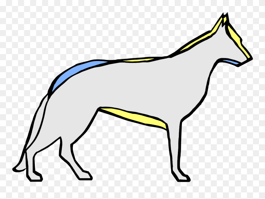 German Shepherd Dog In The Past And Now - German Shepherd Clipart