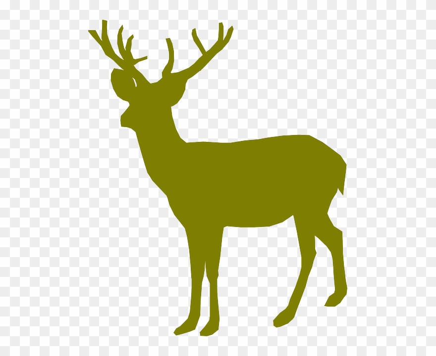 Image Free Stock Buck Clipart Green - Deer Green - Png Download