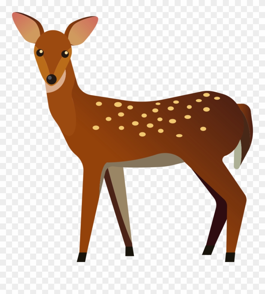 Visit Rocky Mountain National Park - Buncee Clipart