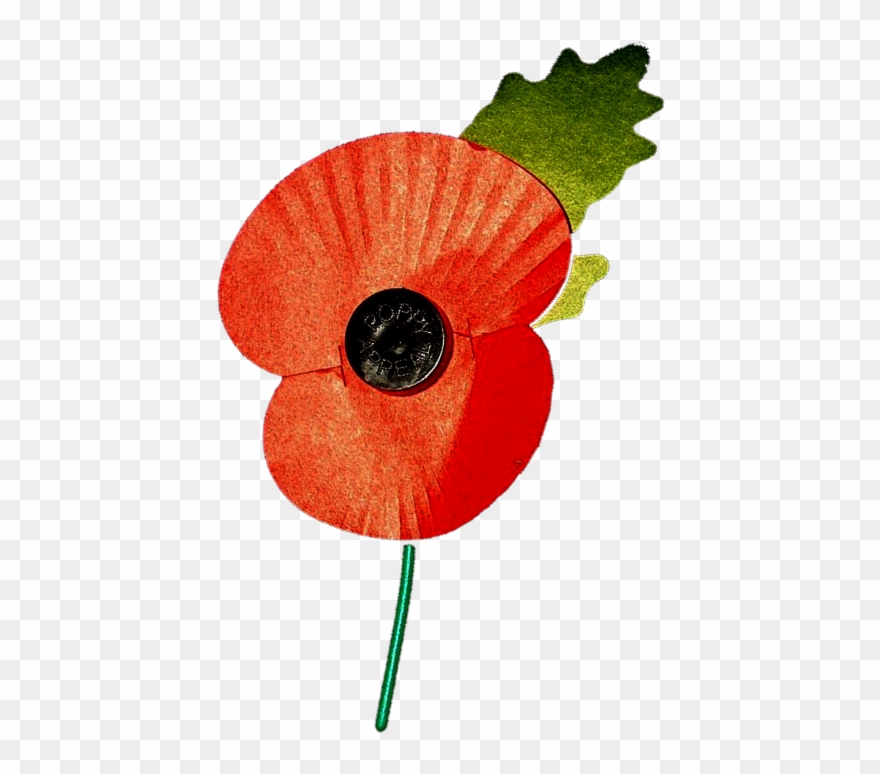 Remembrance Day Parade & Service - British Remembrance Day Poppy Clipart